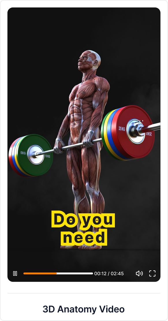 3D Anatomy Video
